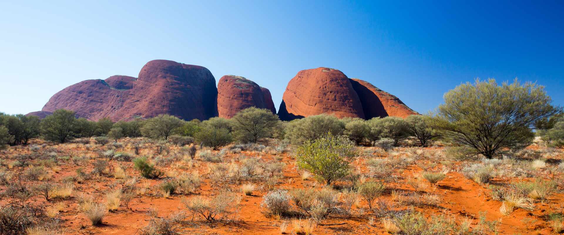 Across the desert plain shows Kata Tjuta in the background, Northern Territory 