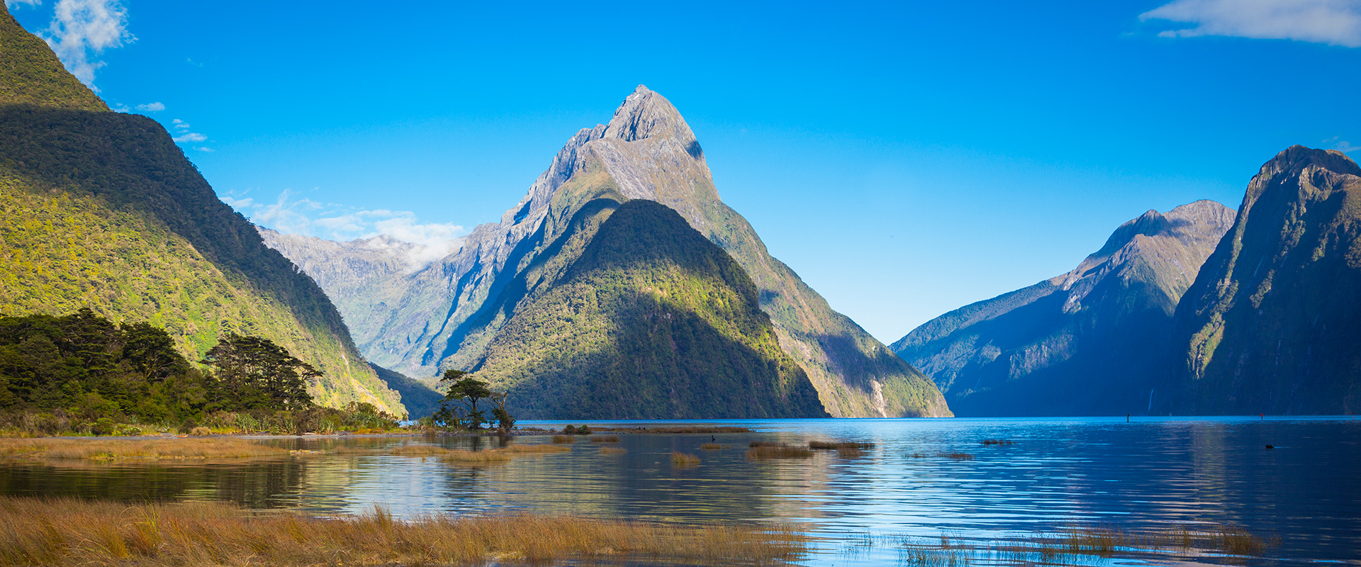 Sunny panoramic view of Milford Sound, South Island, NZ